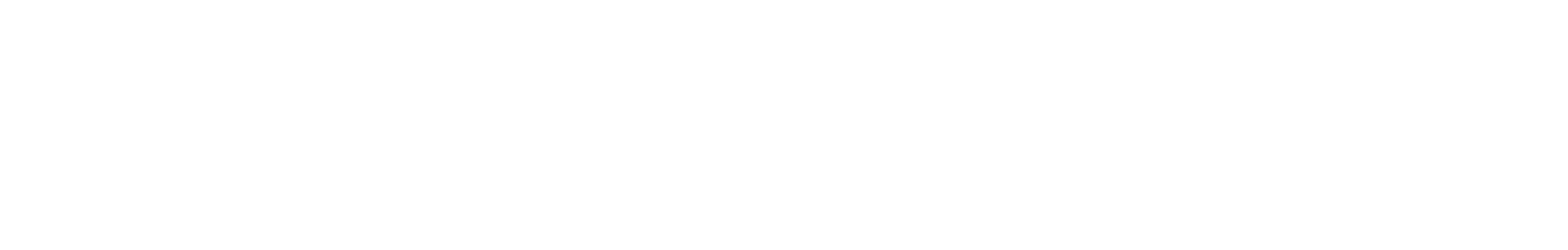 FlightSimWeekend_White_Logo